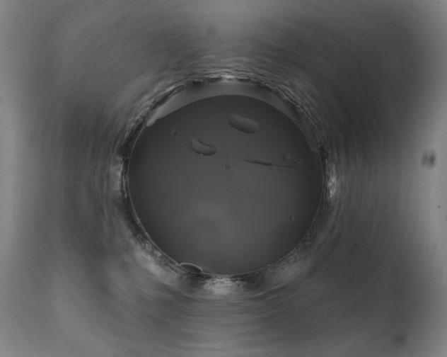 X0000111820231200907231326