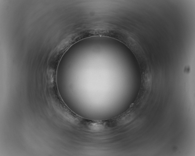 X0000111820232200907231326