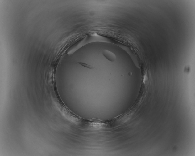 X0000111820233200907231326