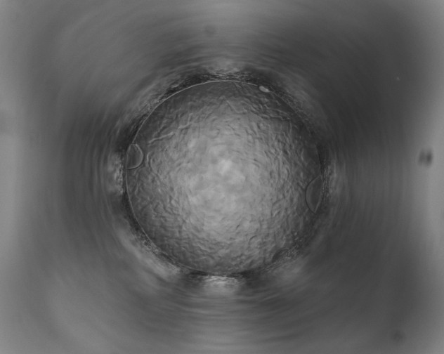 X0000111820234200907231325