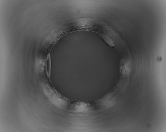 X0000111820235200907231325