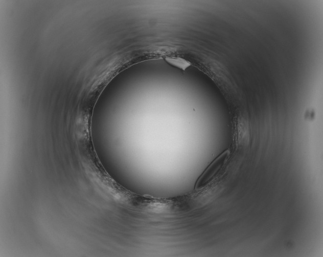 X0000111820236200907231325