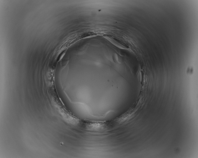X0000111820237200907231325