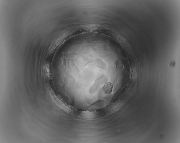 X0000111820238200907231325