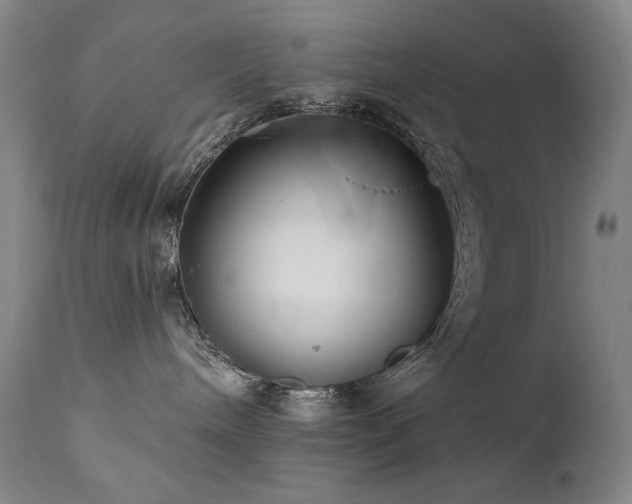 X0000111820240200907231325