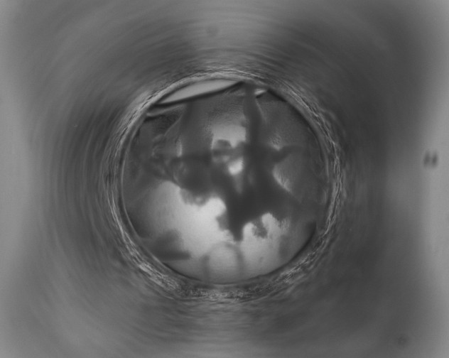 X0000111820241200907231325