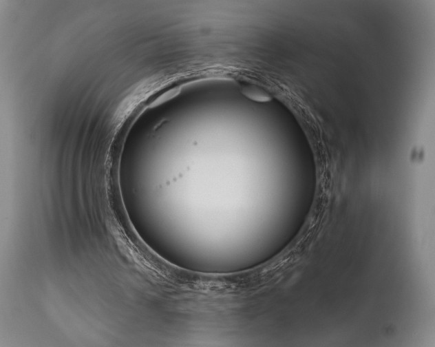 X0000111820242200907231325