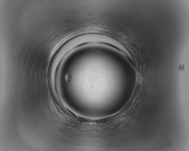 X0000111820244200907231325