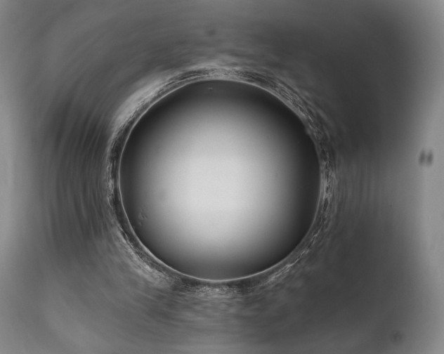 X0000111820245200907231325