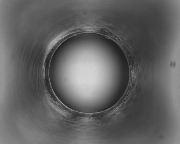 X0000111820246200907231325