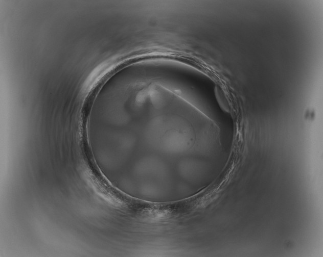 X0000111820247200907231325
