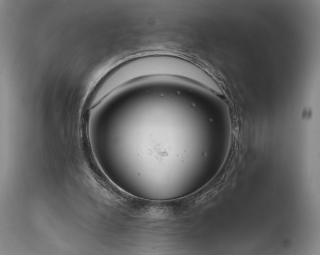 X0000111820248200907231325
