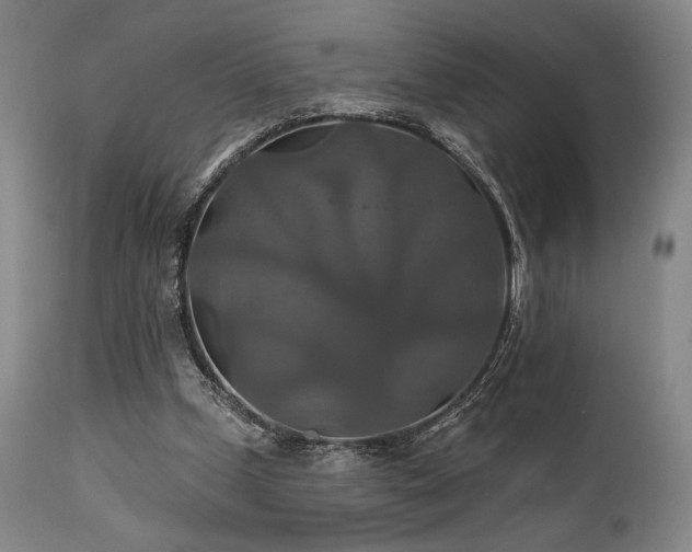 X0000111820249200907231325