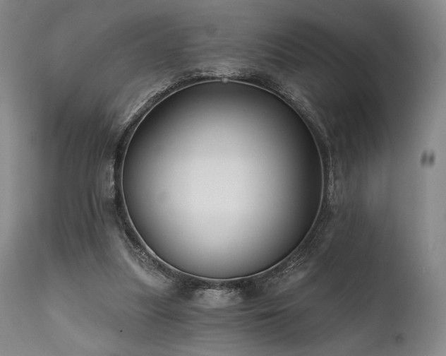 X0000111820251200907231325