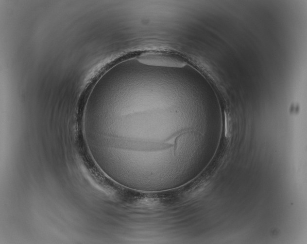 X0000111820252200907231325