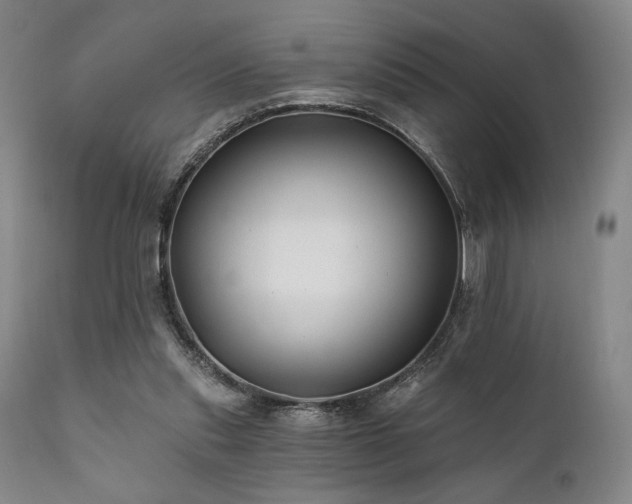 X0000111820253200907231325