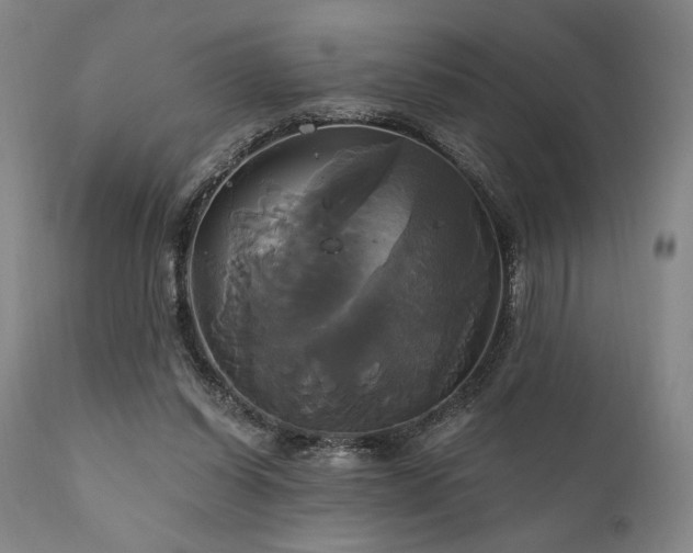 X0000111820254200907231325