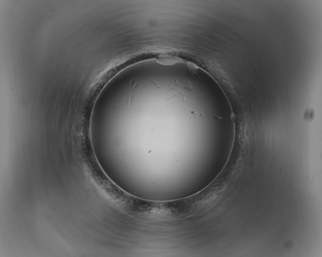 X0000111820256200907231325