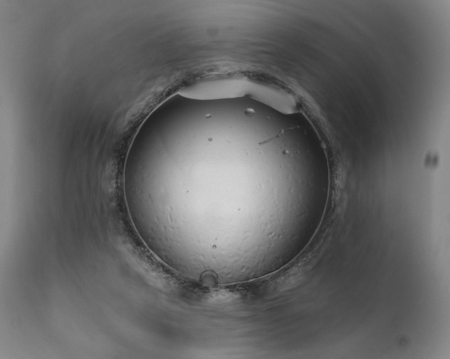 X0000111820257200907231325