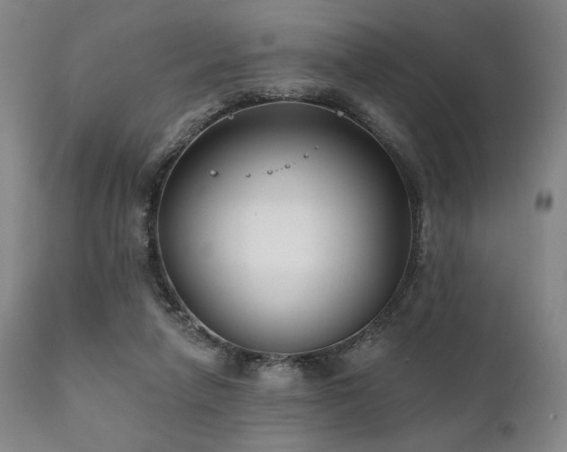 X0000111820258200907231325