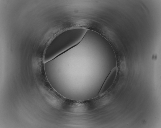 X0000111820260200907231325