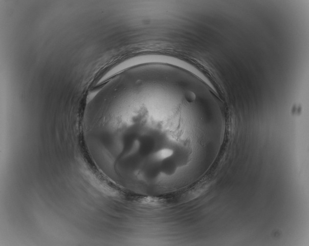 X0000111820261200907231325