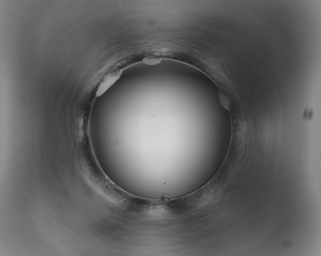 X0000111820262200907231325