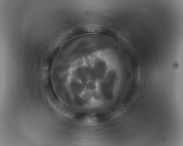 X0000111820263200907231325