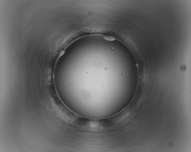 X0000111820264200907231325