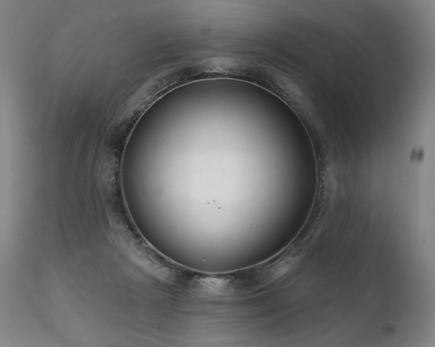 X0000111820265200907231325