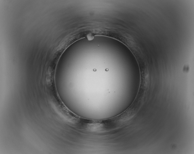 X0000111820266200907231325