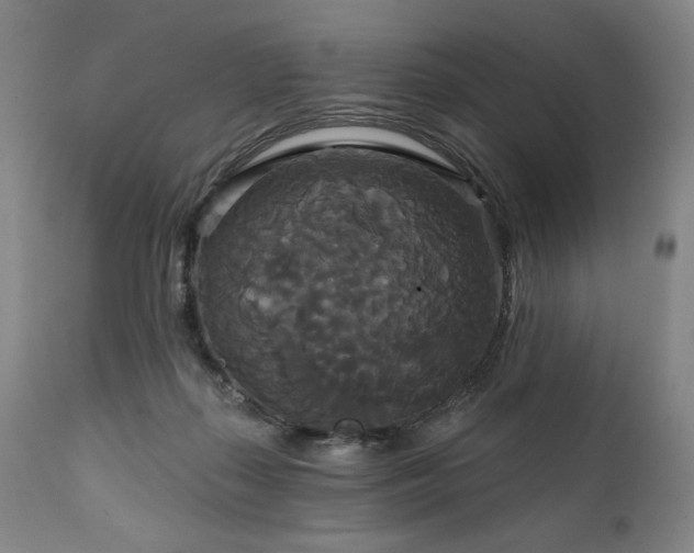 X0000111820267200907231325