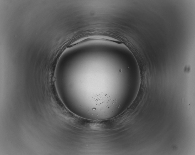 X0000111820268200907231325