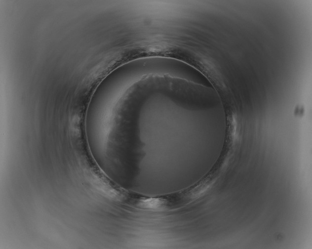 X0000111820269200907231325