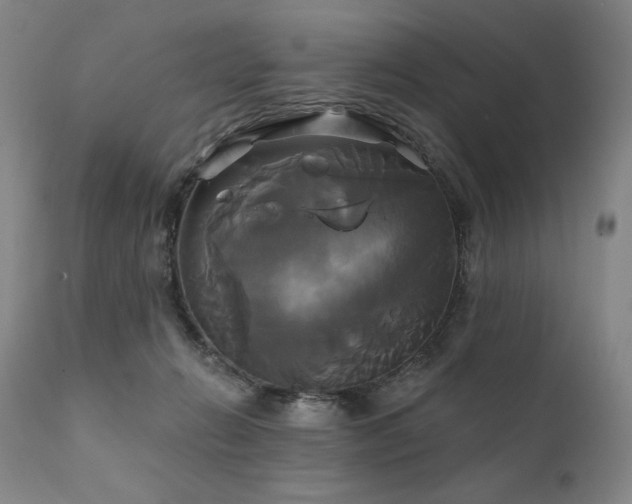 X0000111820270200907231325