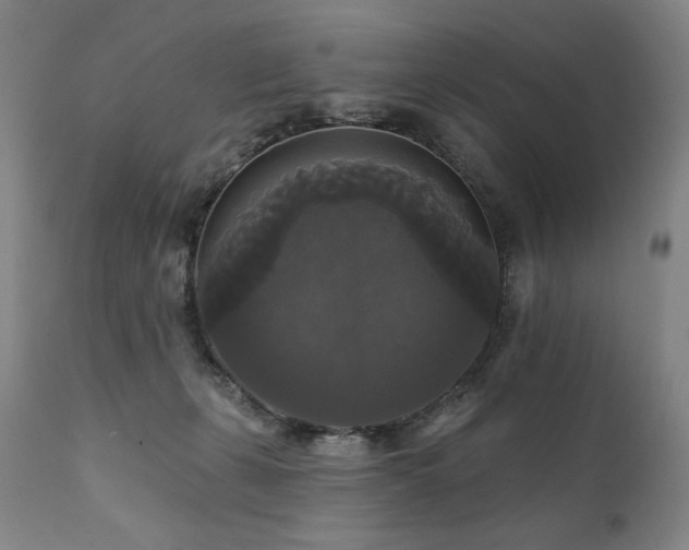 X0000111820271200907231325