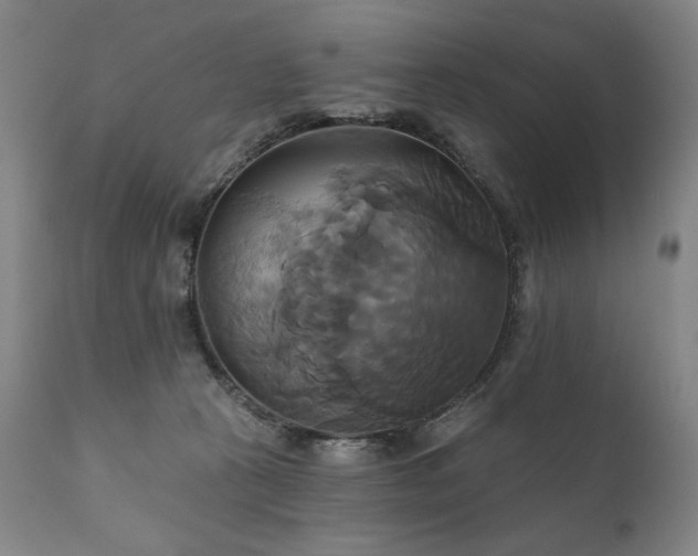 X0000111820273200907231325