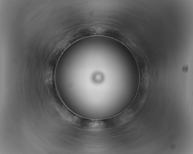 X0000111820274200907231325