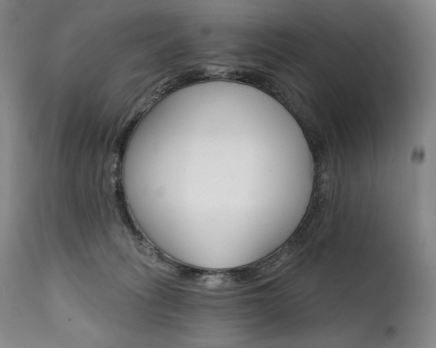 X0000111820275200907231325