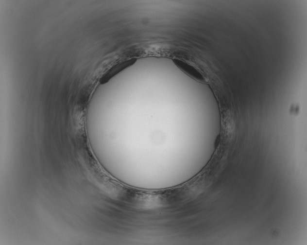 X0000111820276200907231325
