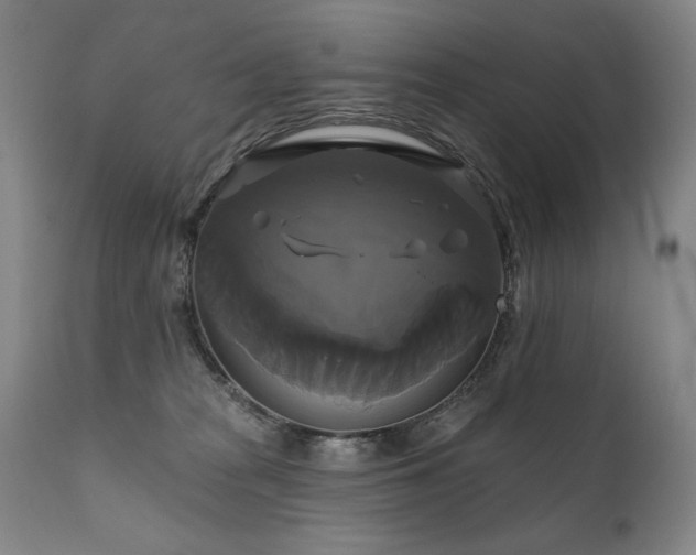 X0000111820277200907231325