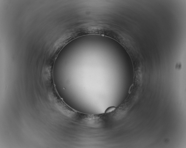 X0000111820278200907231325