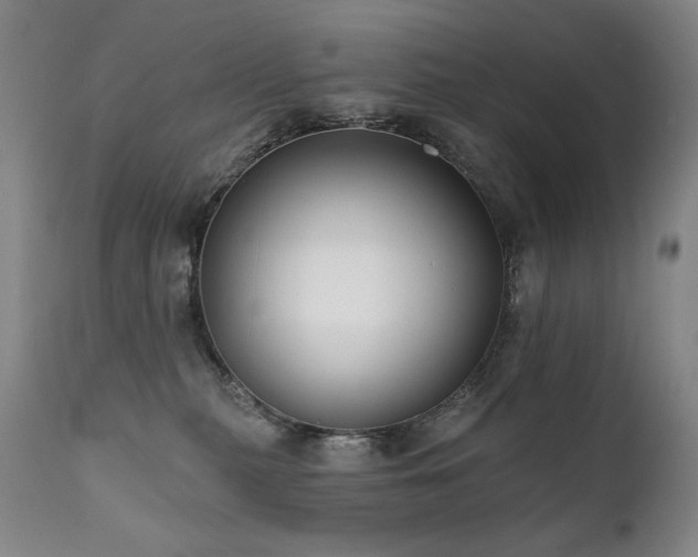 X0000111820279200907231325