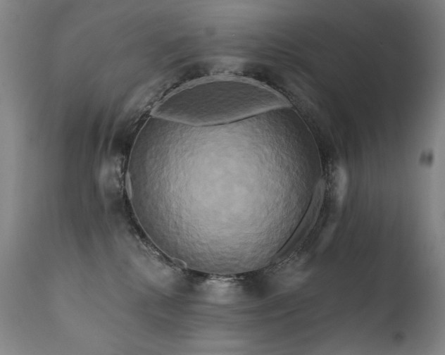 X0000111820280200907231325