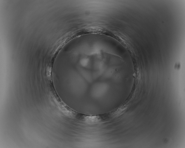 X0000111820281200907231325