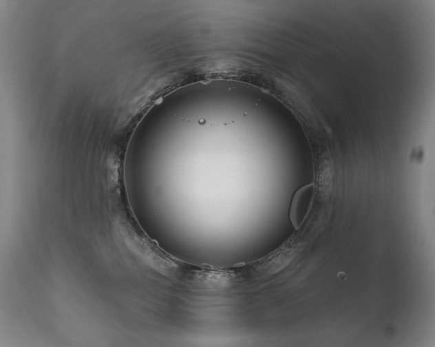 X0000111820282200907231325