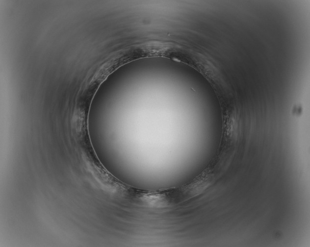 X0000111820283200907231325