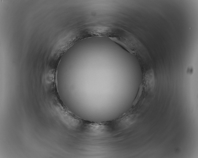 X0000111820284200907231325