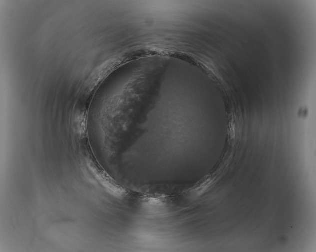 X0000111820285200907231325