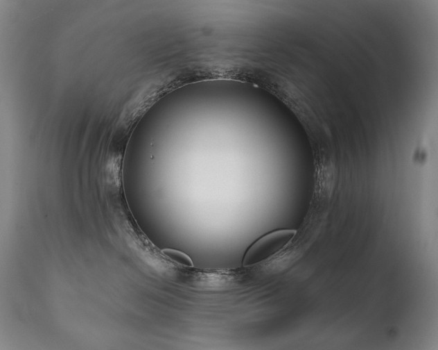 X0000111820286200907231325